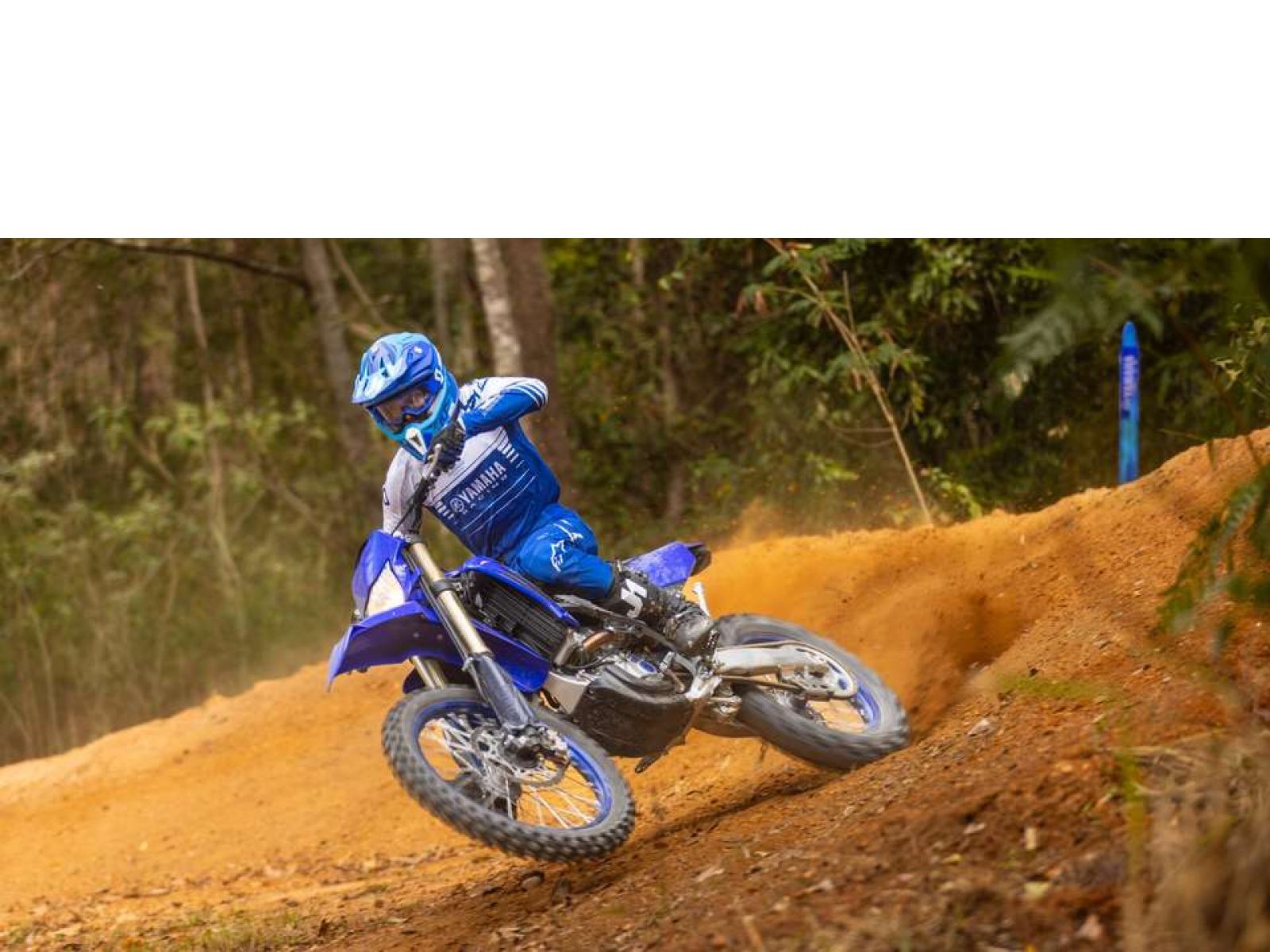 Мотоцикл YAMAHA WR250F (Icon Blue) 2024